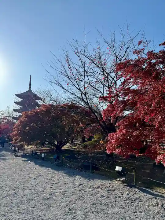 東寺(教王護国寺)(京都府)