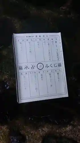 貴船神社のおみくじ