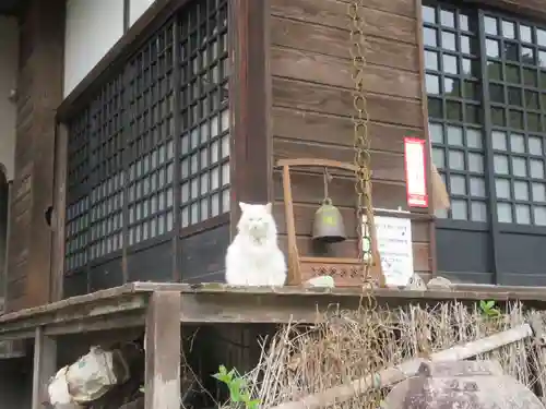 光珠院(埼玉県)
