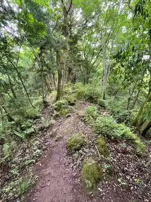 護国観音(大渕寺)の周辺
