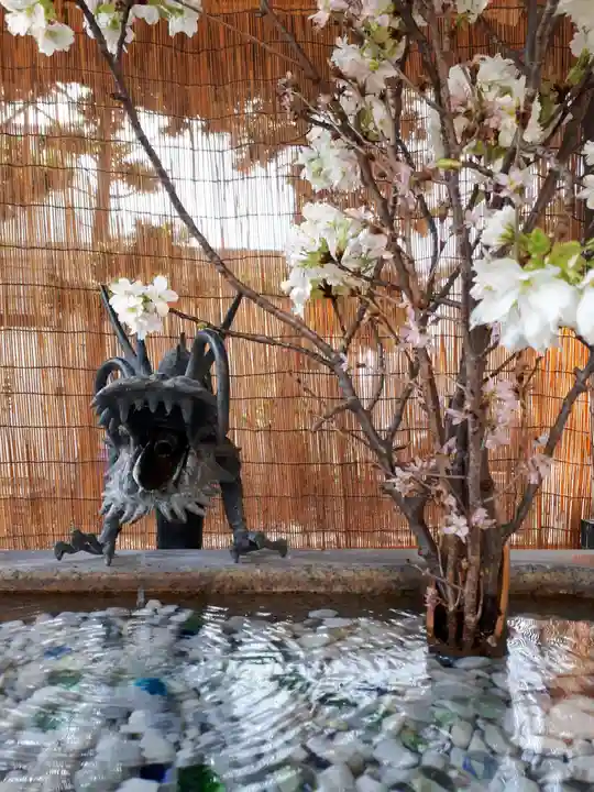 札幌諏訪神社の手水舎