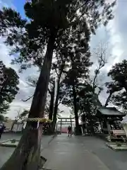 比々多神社(神奈川県)