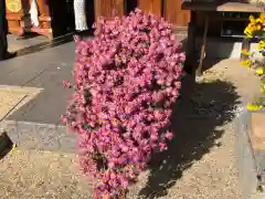 水堂須佐男神社(兵庫県)