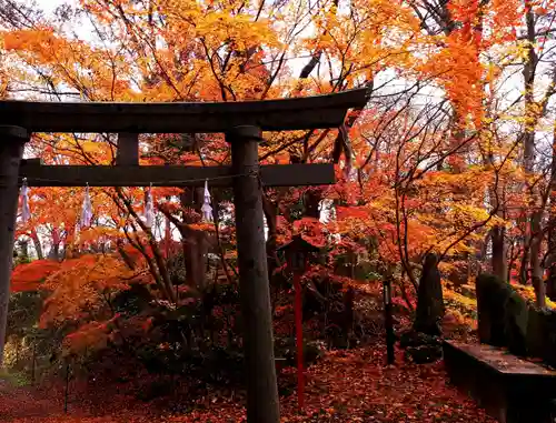 白髭神社の鳥居