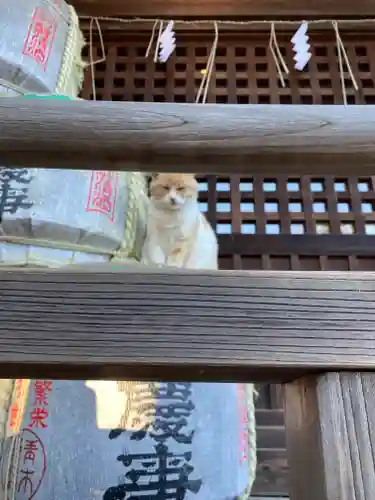雀神社(茨城県)