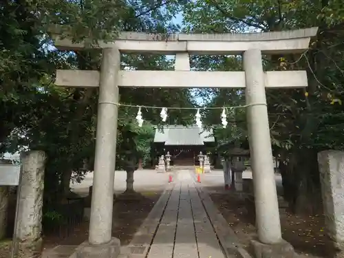 白鬚神社の鳥居