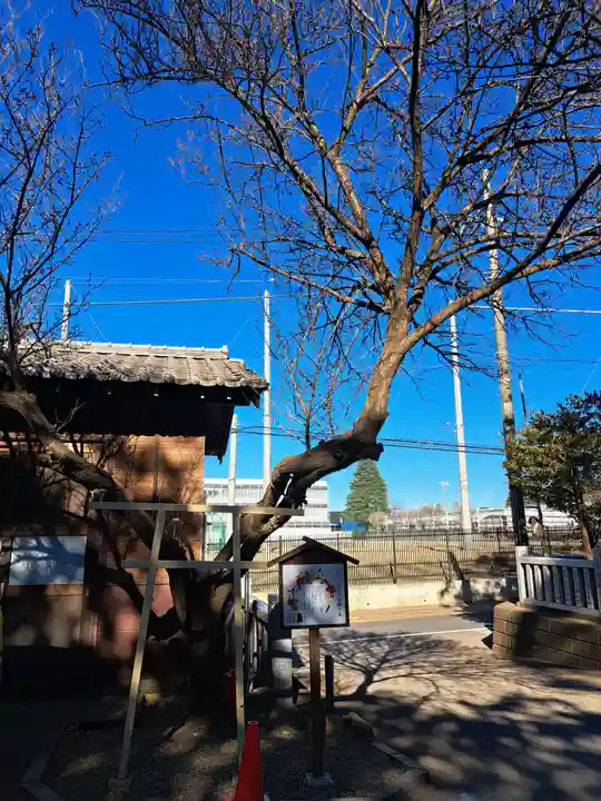 大宮・大原神社(千葉県)