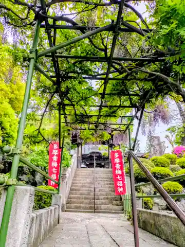 清宝院の{uncategorized: "未分類", other: "その他", undefined: "問題あり", building: "その他建物", grave: "お墓", sacred_gate: "鳥居", guardian: "狛犬", statue: "像", buddha: "仏像", history: "歴史", nature: "自然", garden: "庭園", animal: "動物", pagoda: "塔", temizu: "手水舎", mountain_gate: "山門・神門", sanctuary: "本殿・本堂", subordinate: "末社・摂社", art: "芸術", scenery: "景色", jizo: "地蔵", ema: "絵馬", goshuin: "御朱印", omikuji: "おみくじ", items: "授与品その他", amulet: "お守り", goshuincho: "御朱印帳", eats: "食事", festival: "お祭り", votive_dance: "神楽", shichigosan: "七五三参", wedding: "結婚式", experience: "体験その他", initially: "初詣", around: "周辺", anti_infection: "感染症対策"}