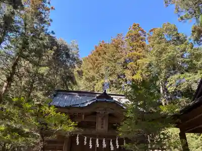 倉尾神社(埼玉県)