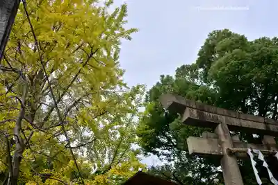 稲毛神社(神奈川県)