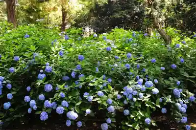 浄土寺(兵庫県)