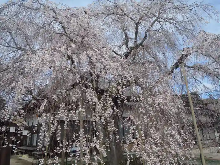 金剛寺(愛知県)
