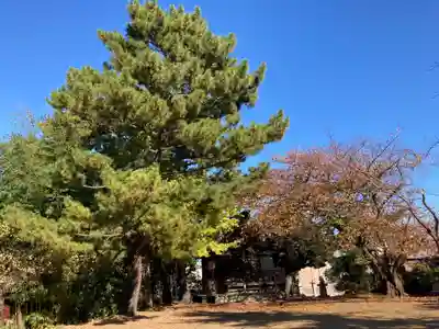 神明宮(神奈川県)