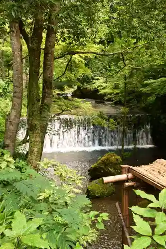 貴船神社結社(京都府)