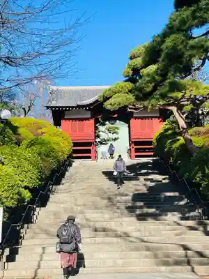 護国寺の山門・神門