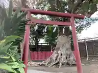 正一位稲荷大明神(築山稲荷社)(神奈川県)