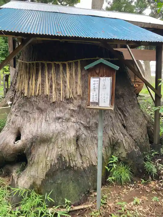 駒形神社(千葉県)