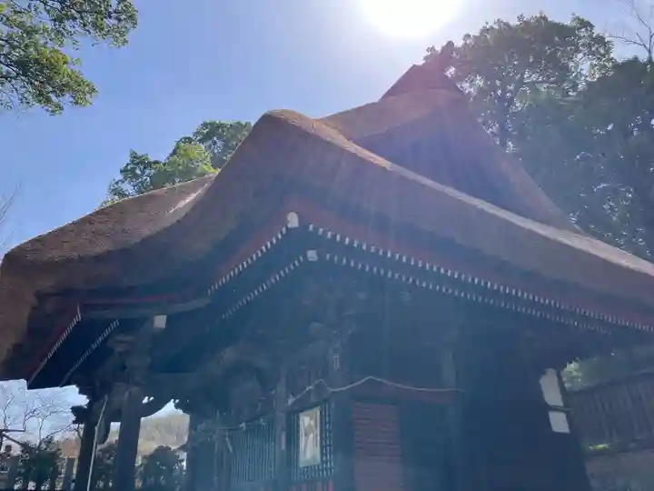 達磨寺(群馬県)