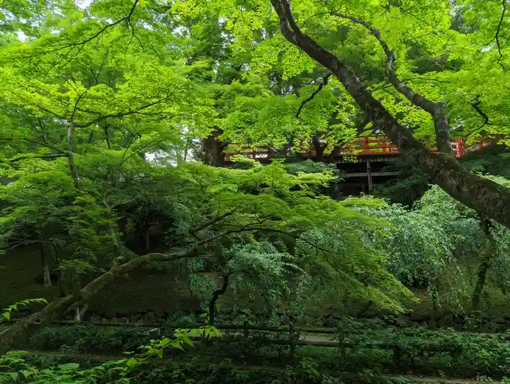 北野天満宮(京都府)