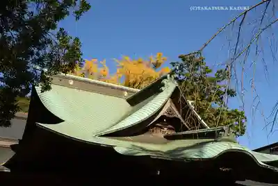 師岡熊野神社(神奈川県)