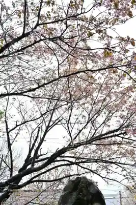 白山媛神社(新潟県)