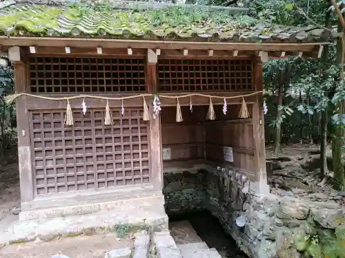 宇治上神社の{uncategorized: "未分類", other: "その他", undefined: "問題あり", building: "その他建物", grave: "お墓", sacred_gate: "鳥居", guardian: "狛犬", statue: "像", buddha: "仏像", history: "歴史", nature: "自然", garden: "庭園", animal: "動物", pagoda: "塔", temizu: "手水舎", mountain_gate: "山門・神門", sanctuary: "本殿・本堂", subordinate: "末社・摂社", art: "芸術", scenery: "景色", jizo: "地蔵", ema: "絵馬", goshuin: "御朱印", omikuji: "おみくじ", items: "授与品その他", amulet: "お守り", goshuincho: "御朱印帳", eats: "食事", festival: "お祭り", votive_dance: "神楽", shichigosan: "七五三参", wedding: "結婚式", experience: "体験その他", initially: "初詣", around: "周辺", anti_infection: "感染症対策"}