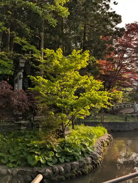 天津神社の{uncategorized: "未分類", other: "その他", undefined: "問題あり", building: "その他建物", grave: "お墓", sacred_gate: "鳥居", guardian: "狛犬", statue: "像", buddha: "仏像", history: "歴史", nature: "自然", garden: "庭園", animal: "動物", pagoda: "塔", temizu: "手水舎", mountain_gate: "山門・神門", sanctuary: "本殿・本堂", subordinate: "末社・摂社", art: "芸術", scenery: "景色", jizo: "地蔵", ema: "絵馬", goshuin: "御朱印", omikuji: "おみくじ", items: "授与品その他", amulet: "お守り", goshuincho: "御朱印帳", eats: "食事", festival: "お祭り", votive_dance: "神楽", shichigosan: "七五三参", wedding: "結婚式", experience: "体験その他", initially: "初詣", around: "周辺", anti_infection: "感染症対策"}