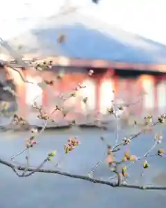 浄土寺の本殿・本堂(2023年03月20日(月) 10時54分59秒投稿)