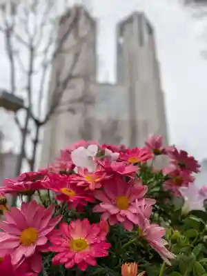 熊野神社(東京都)