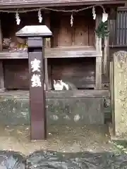 神明大一社の動物