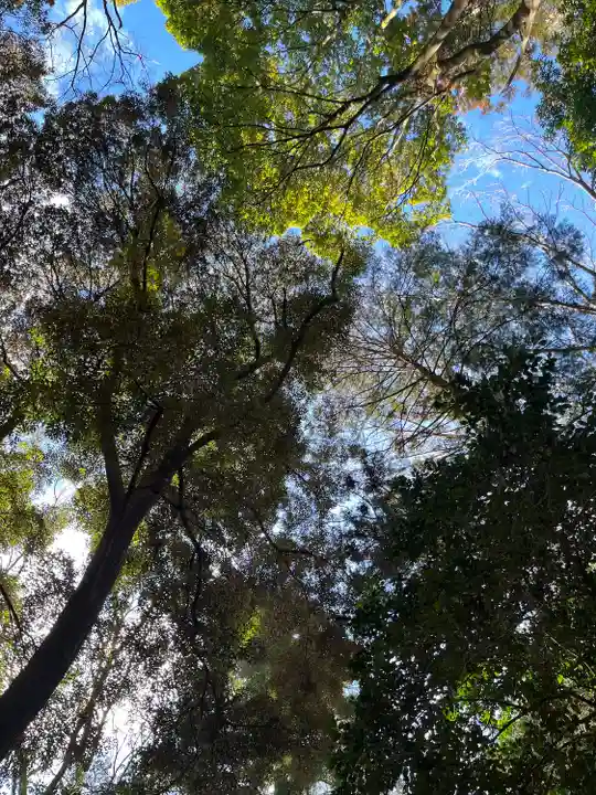 栃木縣護國神社(栃木県)