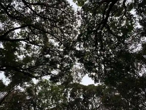 浅間神社の自然