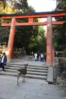 春日大社(奈良県)