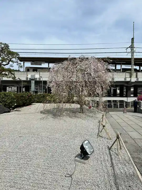 大光寺(東京都)