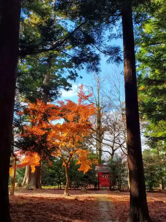 神炊館神社 ⁂奥州須賀川総鎮守⁂の自然