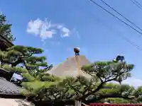 千光寺(広島県)