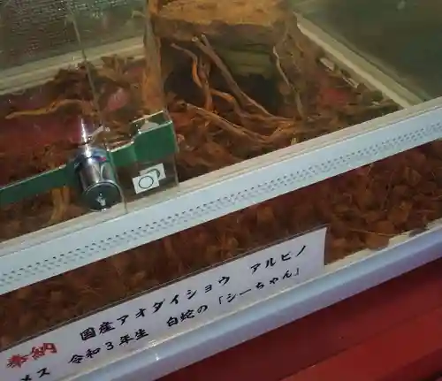 蛇窪神社(東京都)