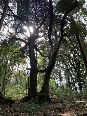 御太刀神社(千葉県)