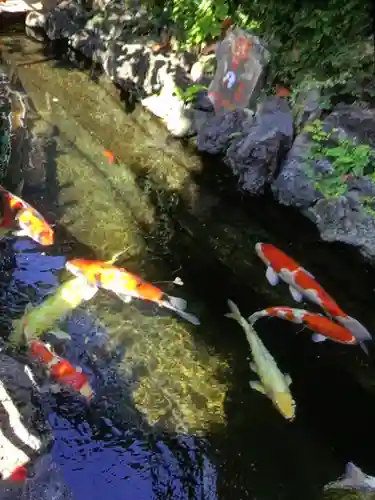 吉原弁財天本宮（吉原神社奥宮）(東京都)
