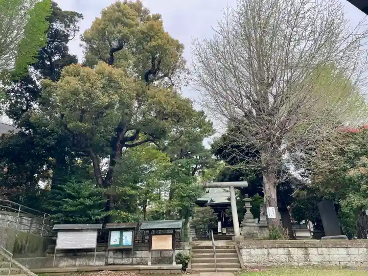 上高田氷川神社の{uncategorized: "未分類", other: "その他", undefined: "問題あり", building: "その他建物", grave: "お墓", sacred_gate: "鳥居", guardian: "狛犬", statue: "像", buddha: "仏像", history: "歴史", nature: "自然", garden: "庭園", animal: "動物", pagoda: "塔", temizu: "手水舎", mountain_gate: "山門・神門", sanctuary: "本殿・本堂", subordinate: "末社・摂社", art: "芸術", scenery: "景色", jizo: "地蔵", ema: "絵馬", goshuin: "御朱印", omikuji: "おみくじ", items: "授与品その他", amulet: "お守り", goshuincho: "御朱印帳", eats: "食事", festival: "お祭り", votive_dance: "神楽", shichigosan: "七五三参", wedding: "結婚式", experience: "体験その他", initially: "初詣", around: "周辺", anti_infection: "感染症対策"}