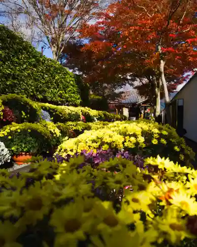 宝徳寺(群馬県)