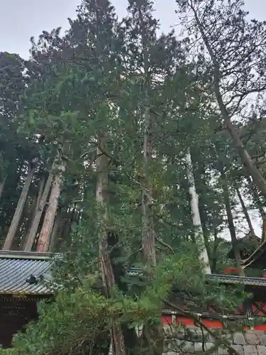 日光山輪王寺 大猷院(栃木県)