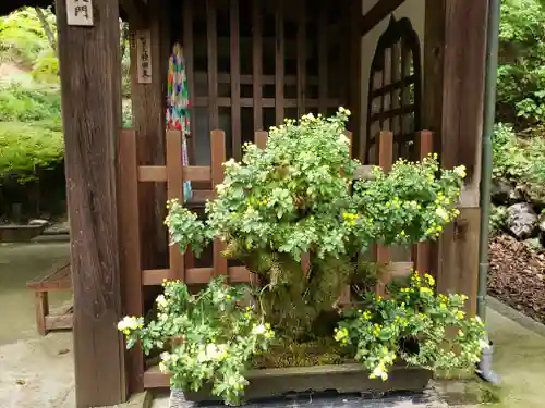 清水寺の庭園