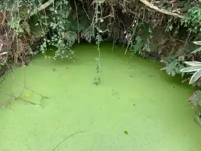 禅定院(千葉県)