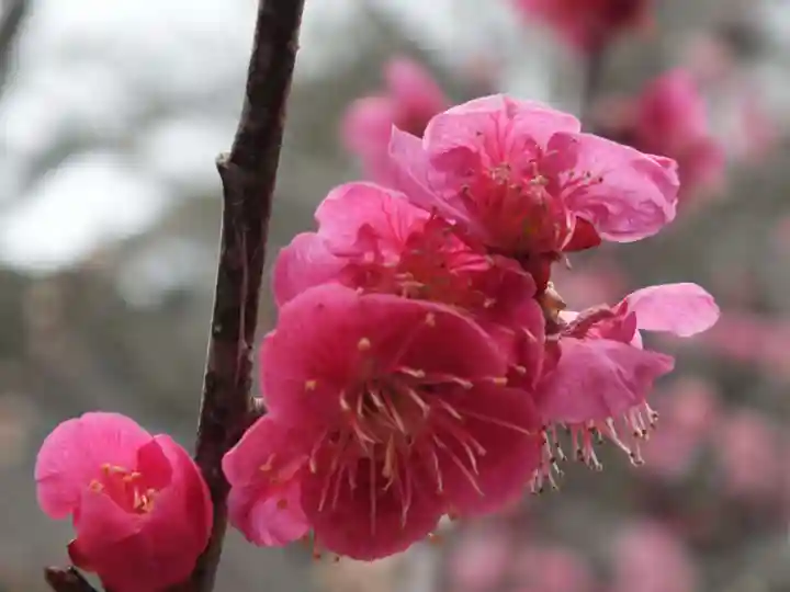 石山寺(滋賀県)
