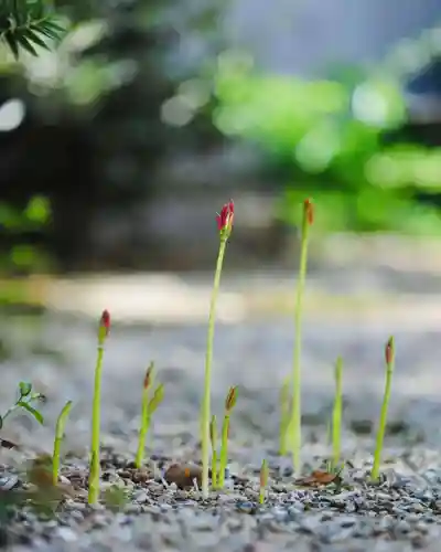 浄土寺(兵庫県)