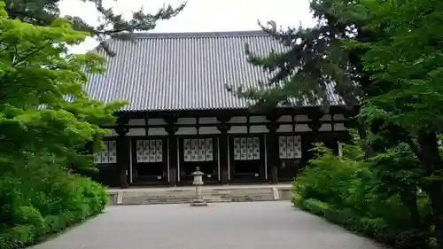 唐招提寺の本殿・本堂