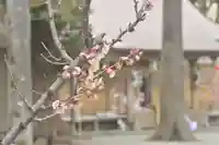 相模原氷川神社の自然