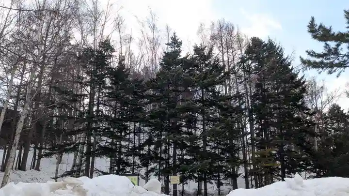 平岸天満宮・太平山三吉神社(北海道)