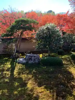 東福禅寺(東福寺)(京都府)